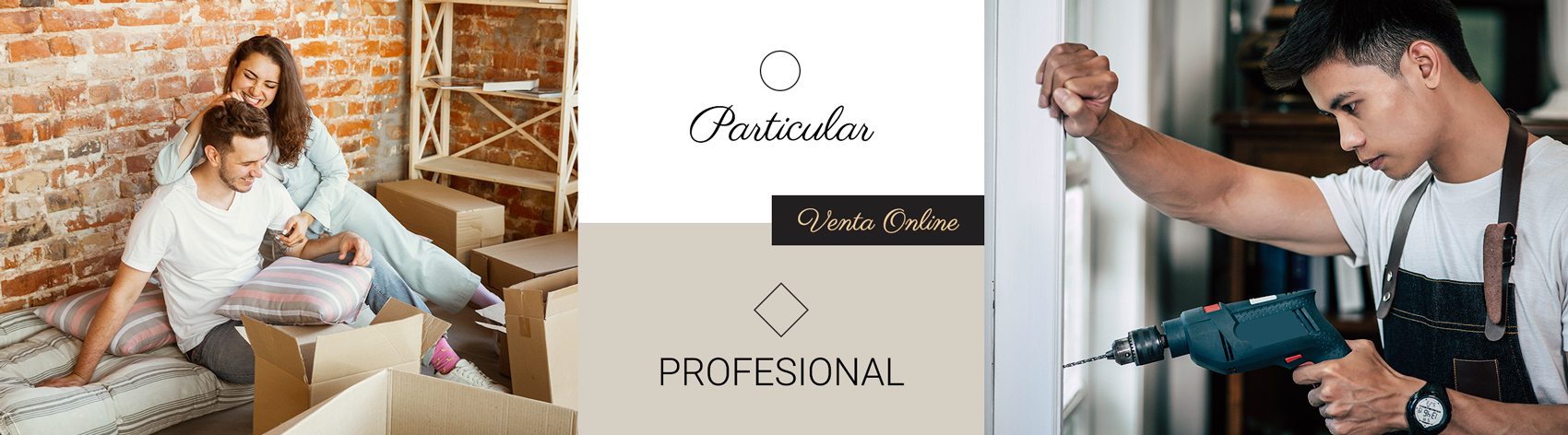 profesional particular